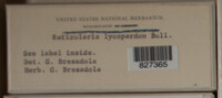 Image Associated With the Occurence